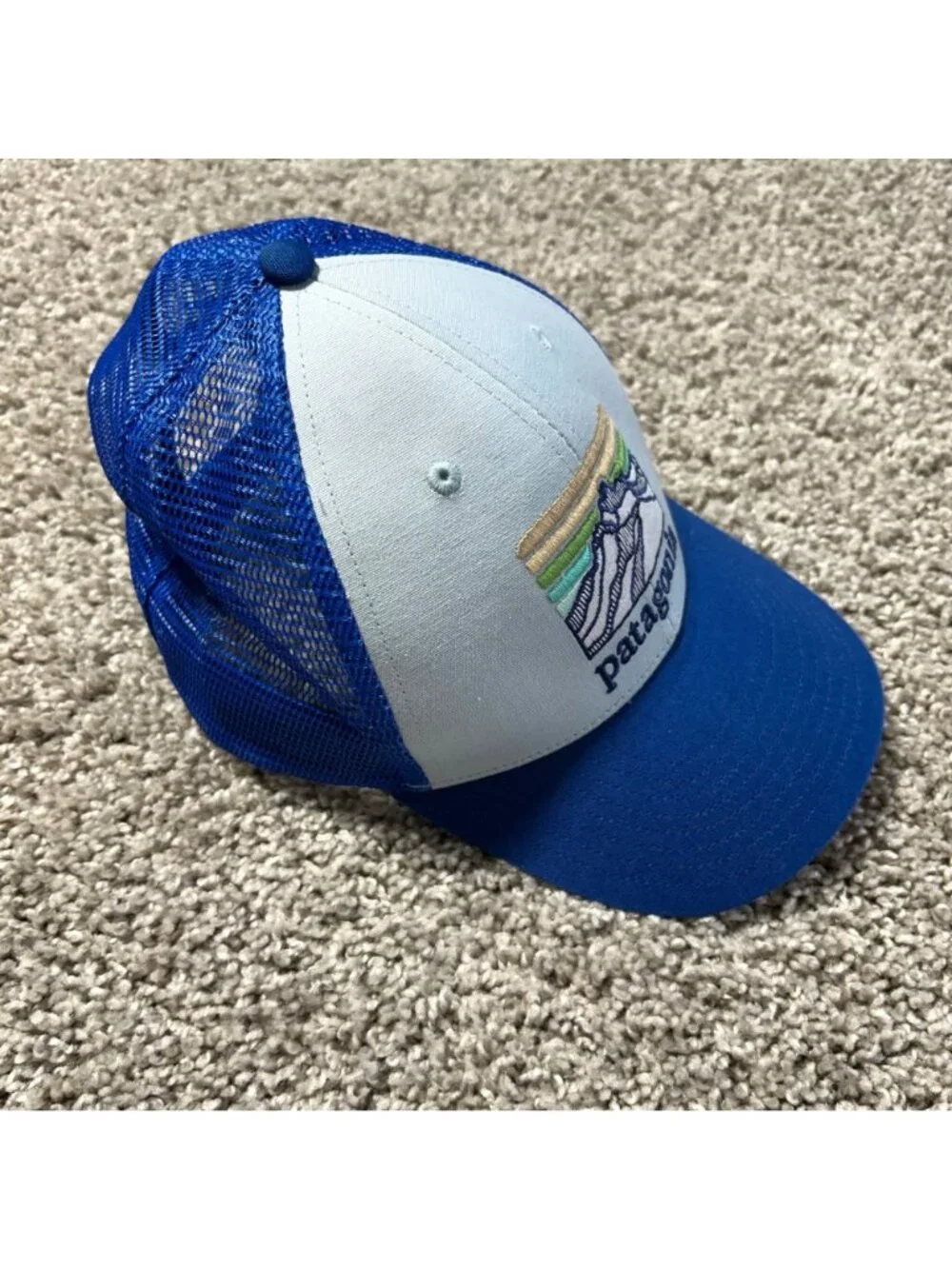 Patagonia Blue Line Logo Ridge LoPro Trucker Hat Mountain Logo Design Mesh Back
